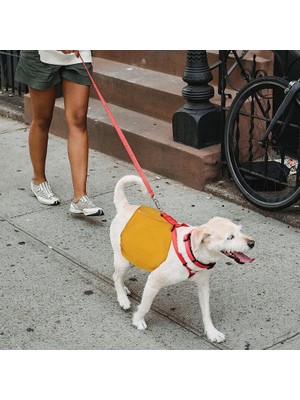 Teotake 3'lü Paket Köpek Bezi, Rahat ve Yeniden Kullanılabilir Yıkanabilir Erkek Köpek Bezi Ayarlanabilir Köpek Bezi Çeşitli Evcil Köpek Türleri Için Köpek Bezleri S (Yurt Dışından)