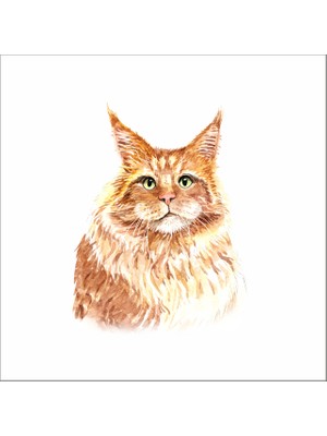 Reysa Tasarım Sevimli Kedi Sticker 1 Duvar Sticker 30X25 cm