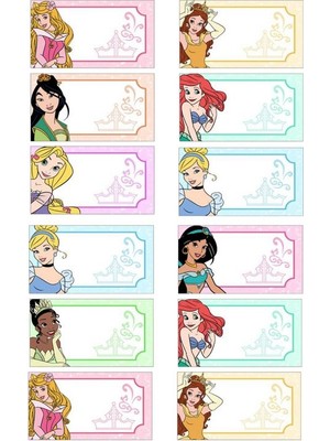 EyER Shoping Pamuk Prenses Disney Prenses Kitap Defter Okul Etiketi 48 Adet Kesimli(Ad-Soyad Istekli)