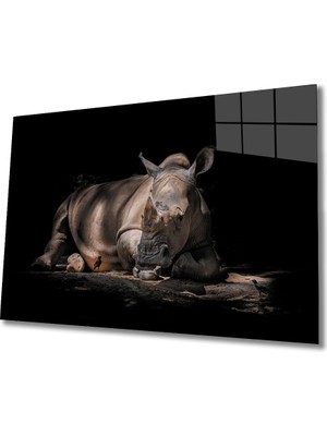 Kırmızı Ayı Gergedan Cam Tablo