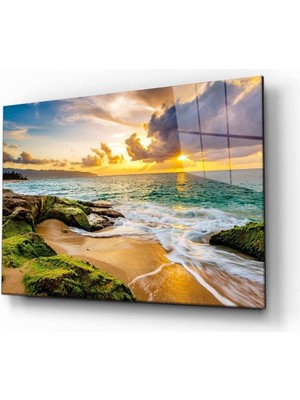 Kırmızı Ayı Doğa Cam Tablo