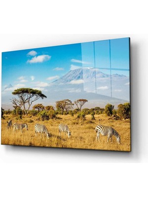 Kırmızı Ayı Doğa Tablo