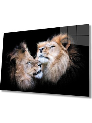 Kırmızı Ayı Aslan Cam Tablo