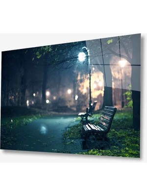 Kırmızı Ayı Doğa Cam Tablo