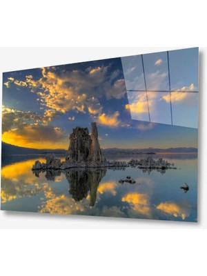 Kırmızı Ayı Doğa Cam Tablo