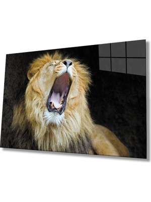 Kırmızı Ayı Aslan Cam Tablo