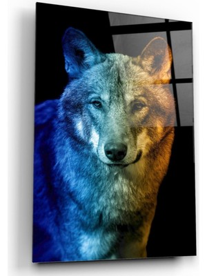 Kırmızı Ayı Kurt Cam Tablo