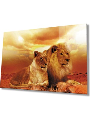 Kırmızı Ayı Aslan Cam Tablo