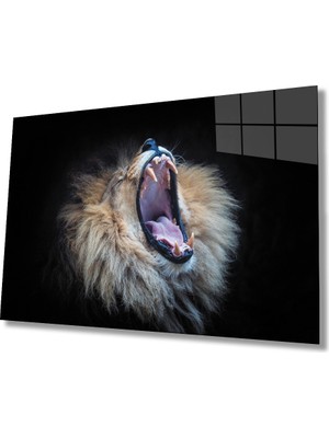 Kırmızı Ayı Aslan Cam Tablo