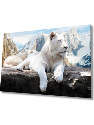 Kırmızı Ayı Aslan Cam Tablo