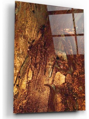 Kırmızı Ayı Desen Cam Tablo