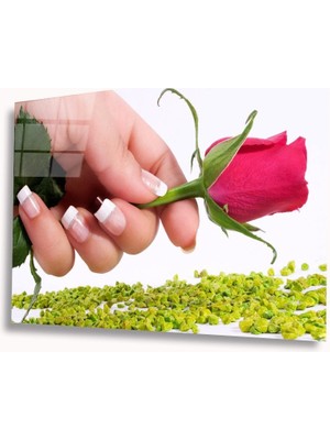 Kırmızı Ayı Gonca Cam Tablo