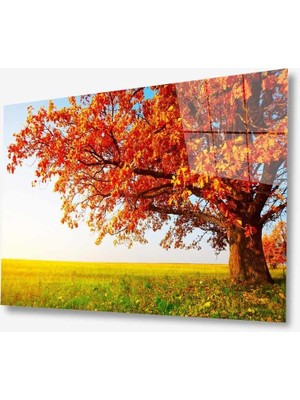 Kırmızı Ayı Doğa Cam Tablo