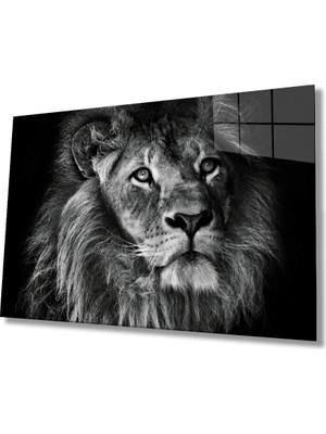 Kırmızı Ayı Aslan Cam Tablo