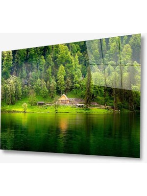 Kırmızı Ayı Doğa Cam Tablo
