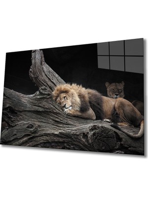 Kırmızı Ayı Aslan Cam Tablo