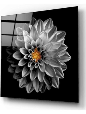 Kırmızı Ayı Çiçek Cam Tablo