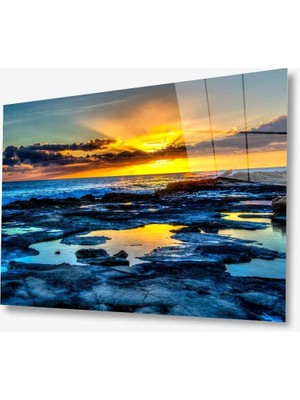 Kırmızı Ayı Doğa Cam Tablo