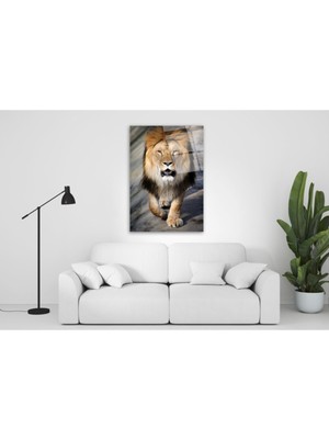 Kırmızı Ayı Aslan Cam Tablo