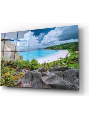 Kırmızı Ayı Manzara Cam Tablo