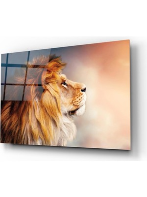 Kırmızı Ayı Aslan Cam Tablo