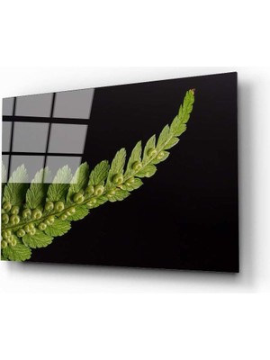 Kırmızı Ayı Yaprak Cam Tablo