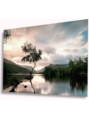 Kırmızı Ayı Manzara Cam Tablo