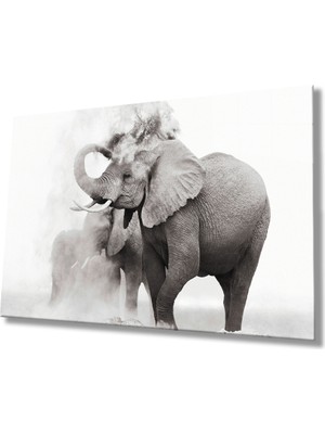 Kırmızı Ayı Fil Cam Tablo