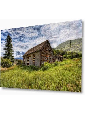 Kırmızı Ayı Doğa Cam Tablo