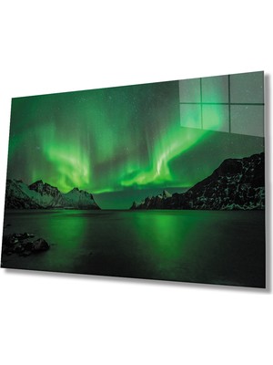 Kırmızı Ayı Doğa Cam Tablo