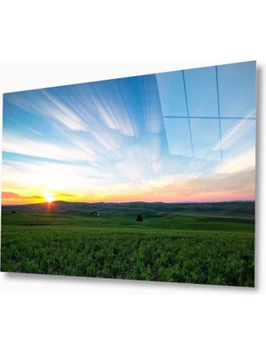 Kırmızı Ayı Doğa Cam Tablo