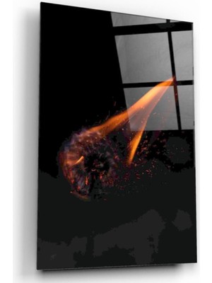 Kırmızı Ayı Karahindiba Cam Tablo