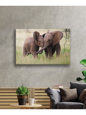 Kırmızı Ayı Filler Cam Tablo