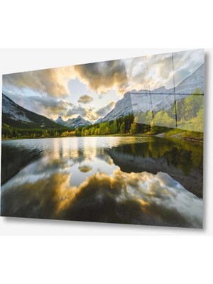 Kırmızı Ayı Doğa Cam Tablo