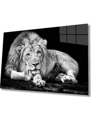 Kırmızı Ayı Aslan Cam Tablo