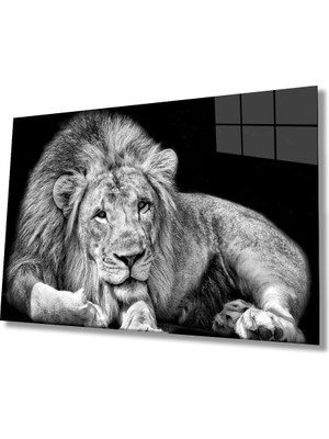 Kırmızı Ayı Aslan Cam Tablo