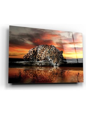 Kırmızı Ayı Kaplan Cam Tablo