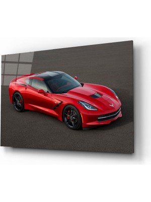 Kırmızı Ayı Araba Cam Tablo