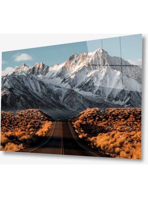 Kırmızı Ayı Doğa Cam Tablo