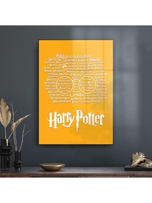 Decovetro Cam Tablo Harry Potter All Magic 70X100 cm