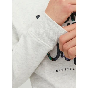 Jack & Jones Jorsılverlake Sweat Crew Neck Ln Erkek Beyaz Sweatshirt 12242366-White