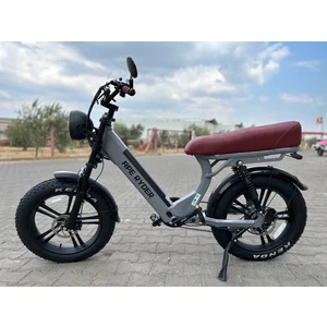 Ape Ryder MD10 750W Elektrikli Bisiklet