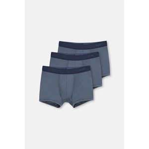 İndigo D4210 Boxer 3'lü