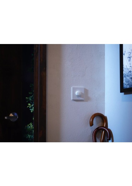 Hue Smart Button