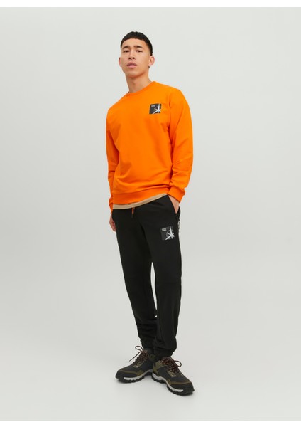 Jack & Jones Slim Fit Siyah Erkek Eşofman Altı 12230407_JPSTWILL Jjfılo Sweat Pant