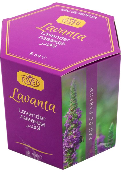 Lavanta Kokusu Alkolsüz Esans 6' lı Paket 6 ml