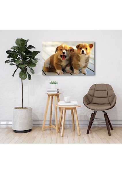 Köpekler Cam Tablo fiyatları