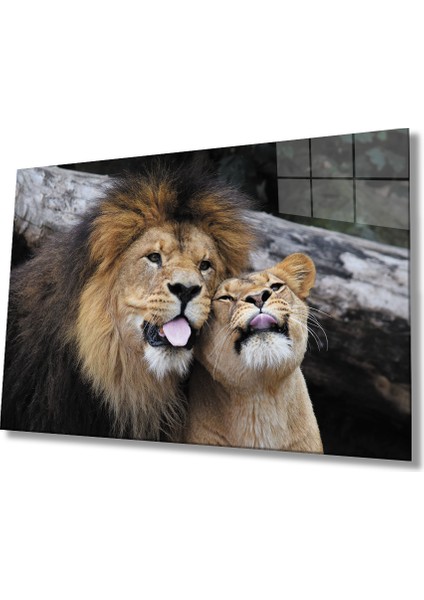 Aslan Cam Tablo