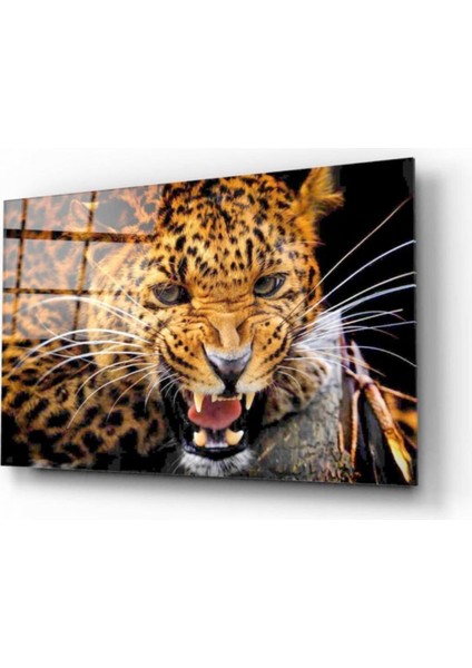 Leopar Cam Tablo