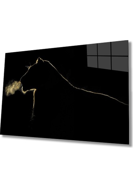 Aslan Cam Tablo